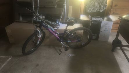 Purple And Pink Bike