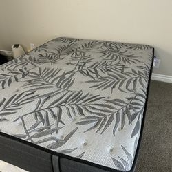 Sealy Queen Size Mattress