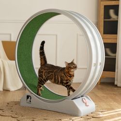 Cat wheel exercise Walker Treadmill