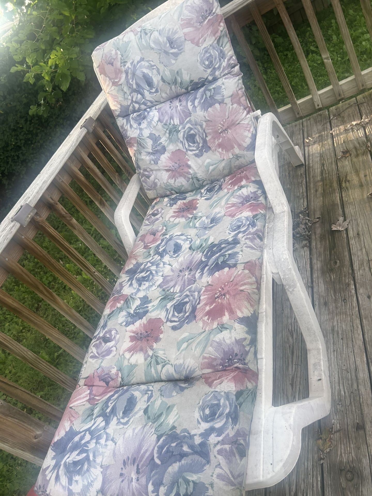 Adjustable Tanning Chair With Cushion 