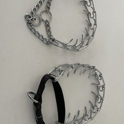 Dog Training Collars