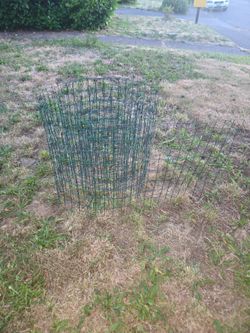 Garden  fence