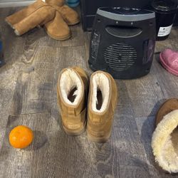 Brand New Uggs Men
