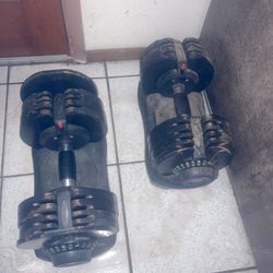 The Adjustable Weights 