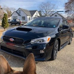 2019 Subaru WRX