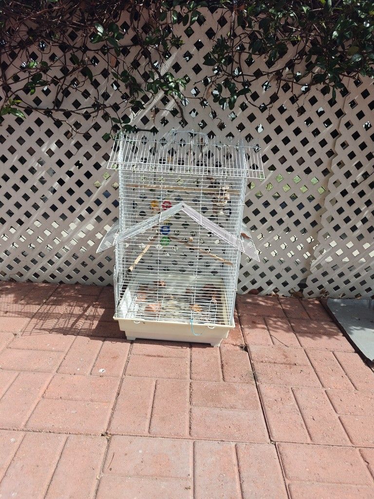 Bird Cage