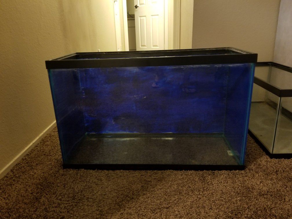 29 gal fish tank