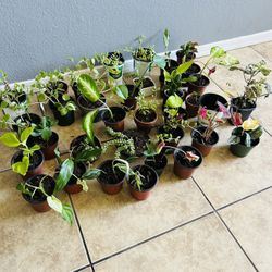 Plans For Sale 5 Each 