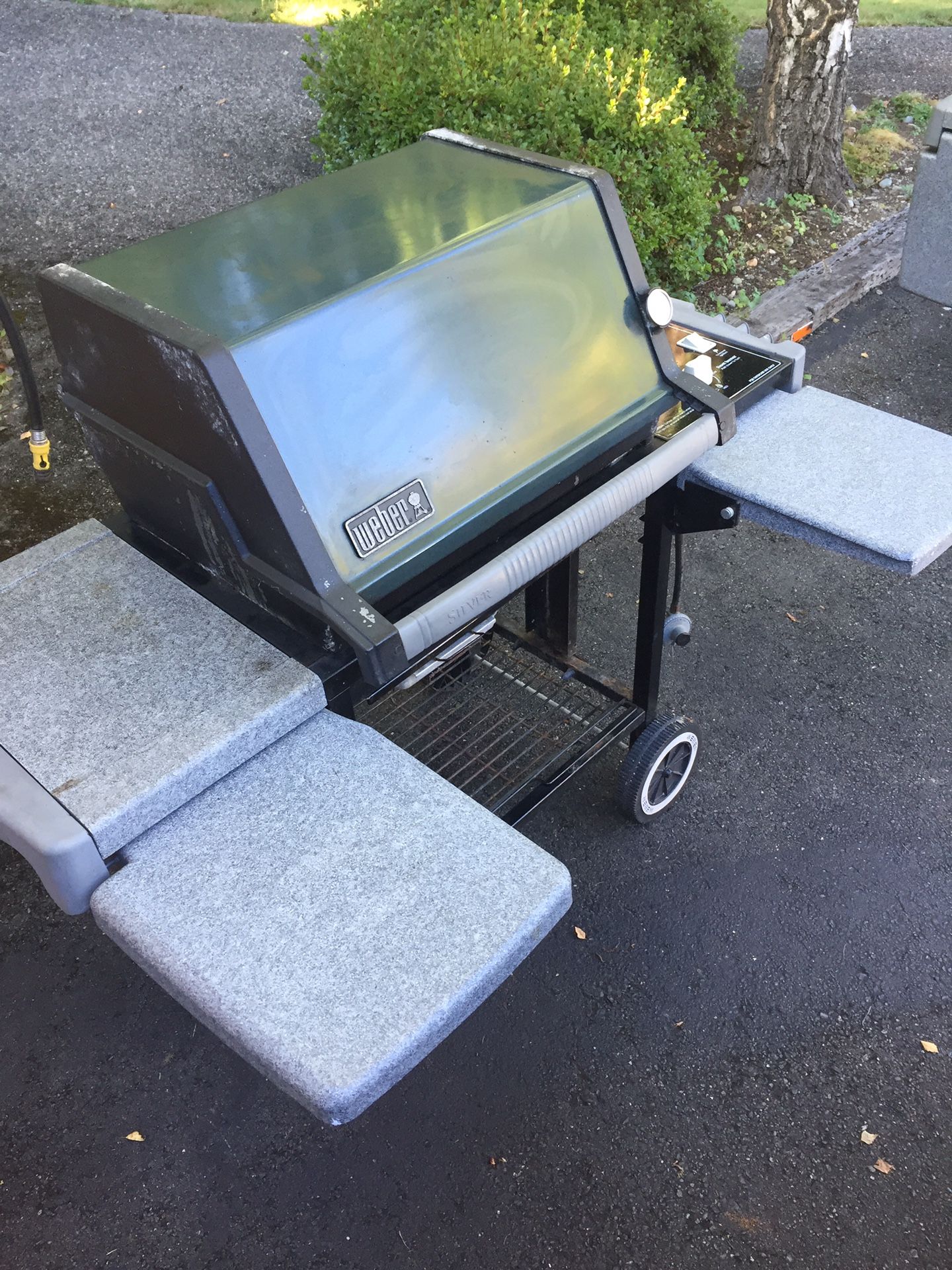 Weber Genesis Silver B