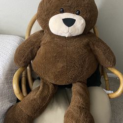 Brown Teddy Bear 