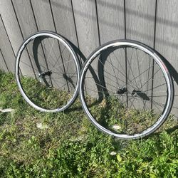 Dura Ace  C24 Wheels 