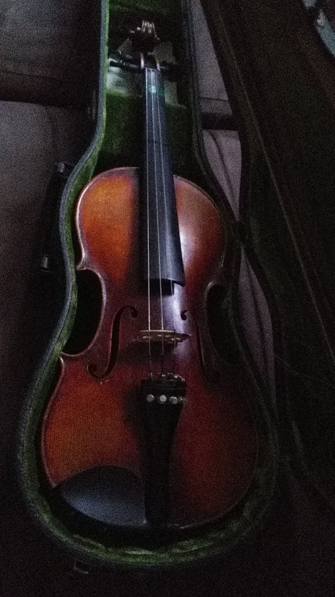 Violin