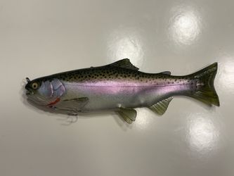 Hawg Hunter 9.5 Floater Mag Swimbait