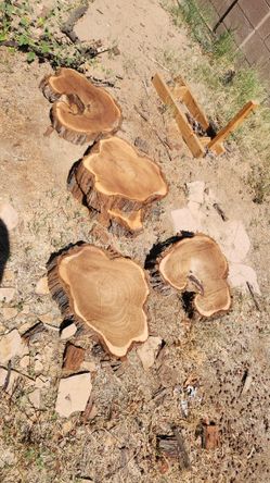Mesquite Cookies