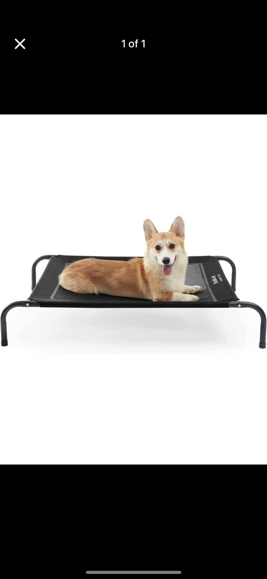 Dog Bed Elevated