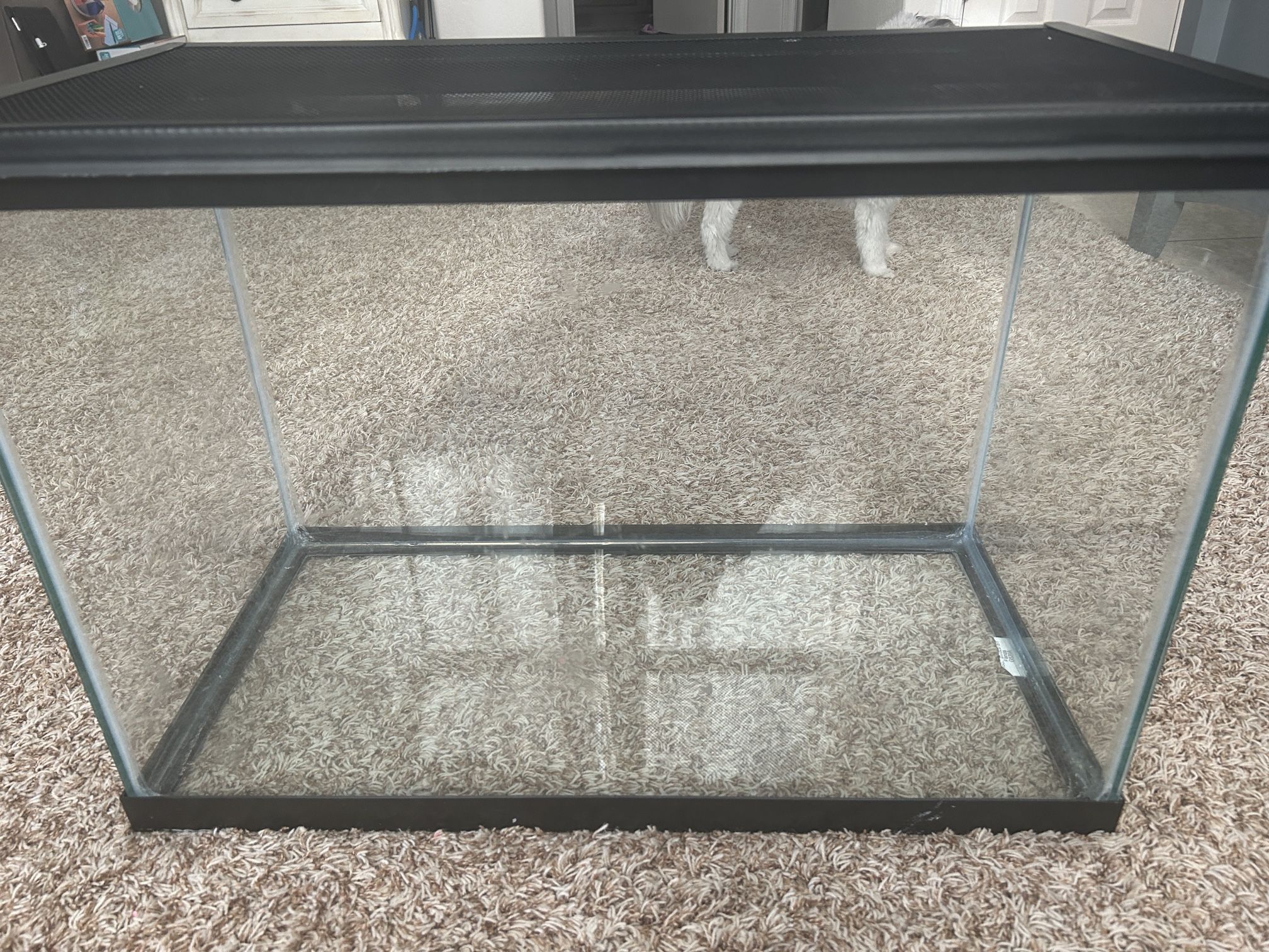 20 Gallon Terrarium Fish Tank