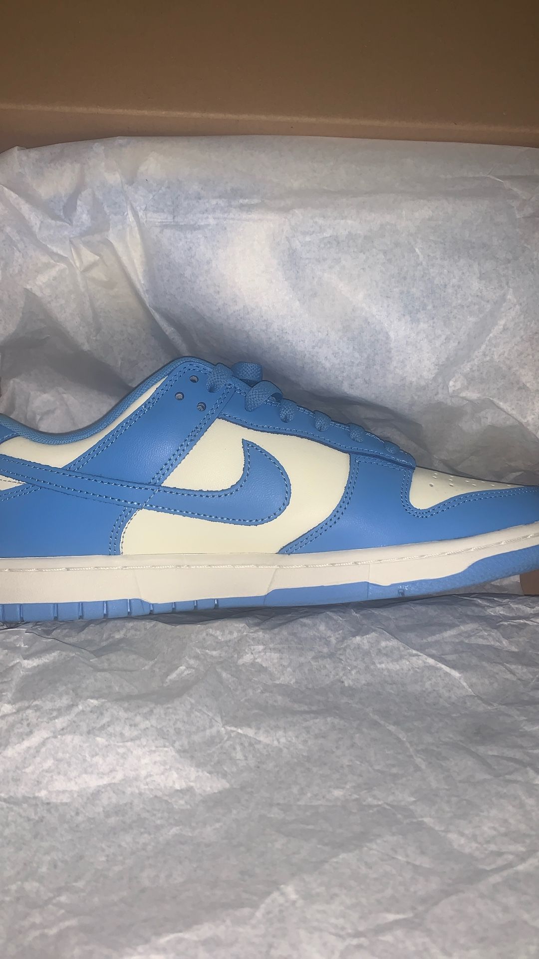 nike dunks