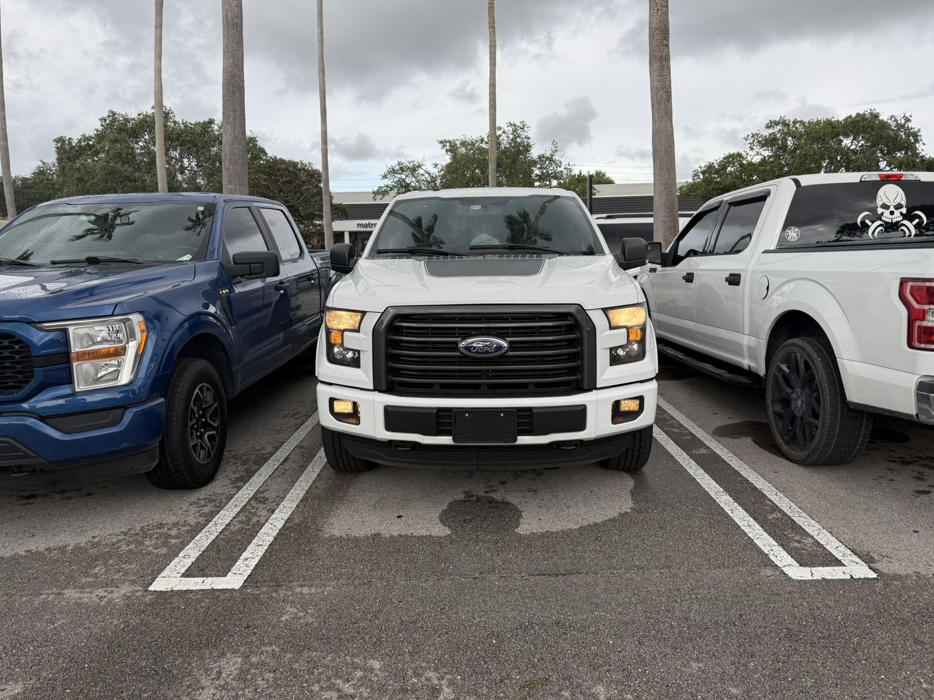 F150 15-17 Smoked Stock Halogen Headlights