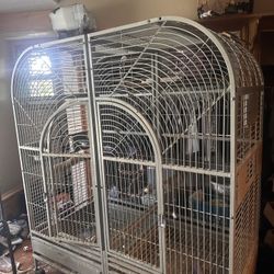 800 Bird Cage 