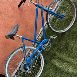 Schwinn Cruiser 5 Speed