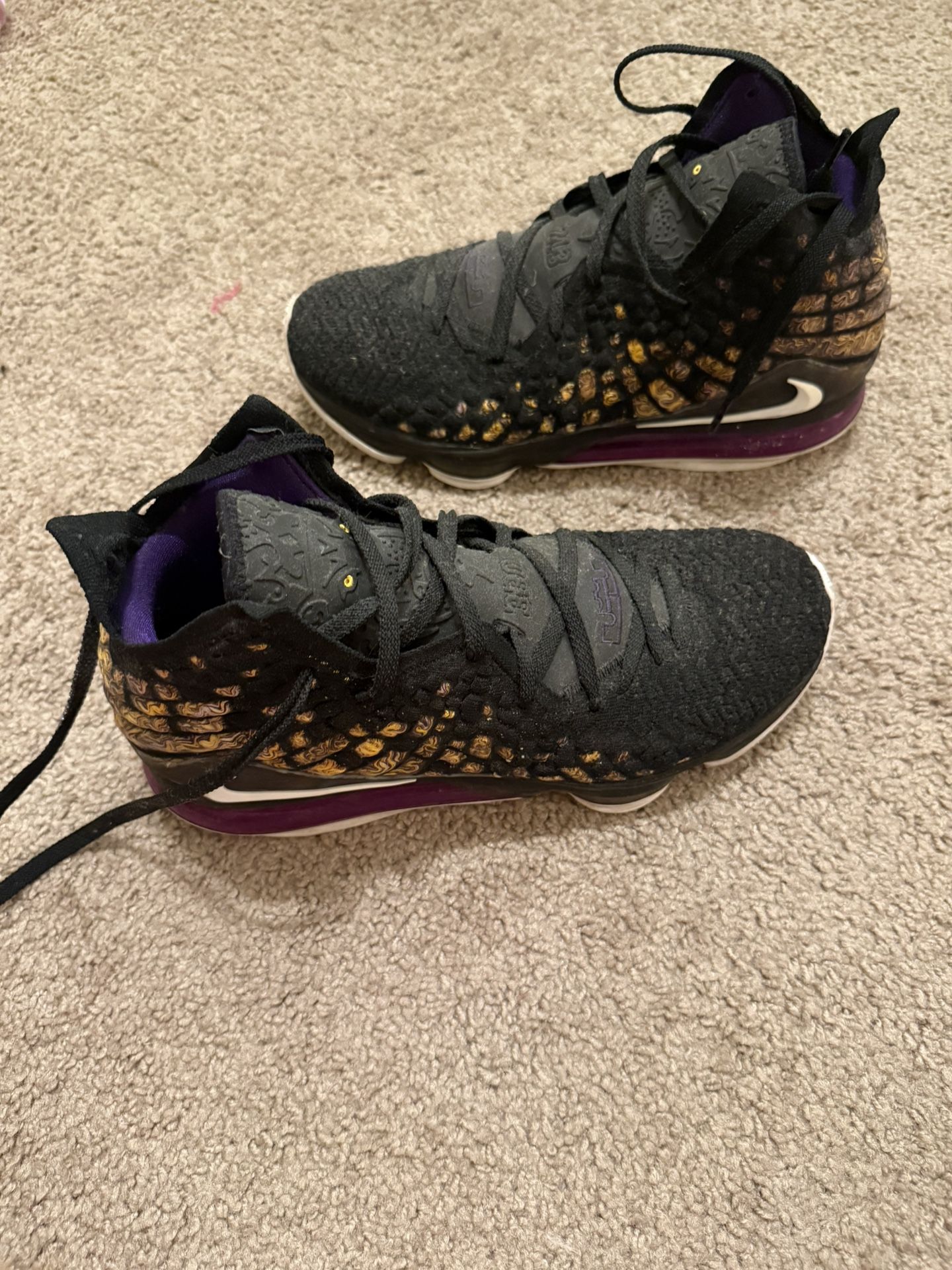Size 12 Lebrons