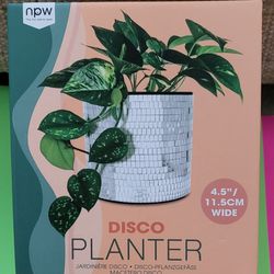 Planter Disco Ball Textured & Colored Table