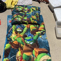 Ninja Turtle Sleeping Bag/pillow Set