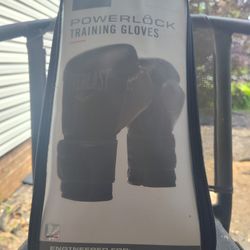Everlast Powerlock Training Gloves 14 Oz