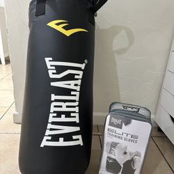 New Punching Bag With New Boxing Gloves 