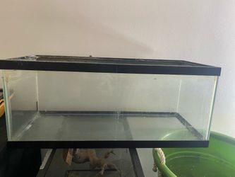 20 gal long