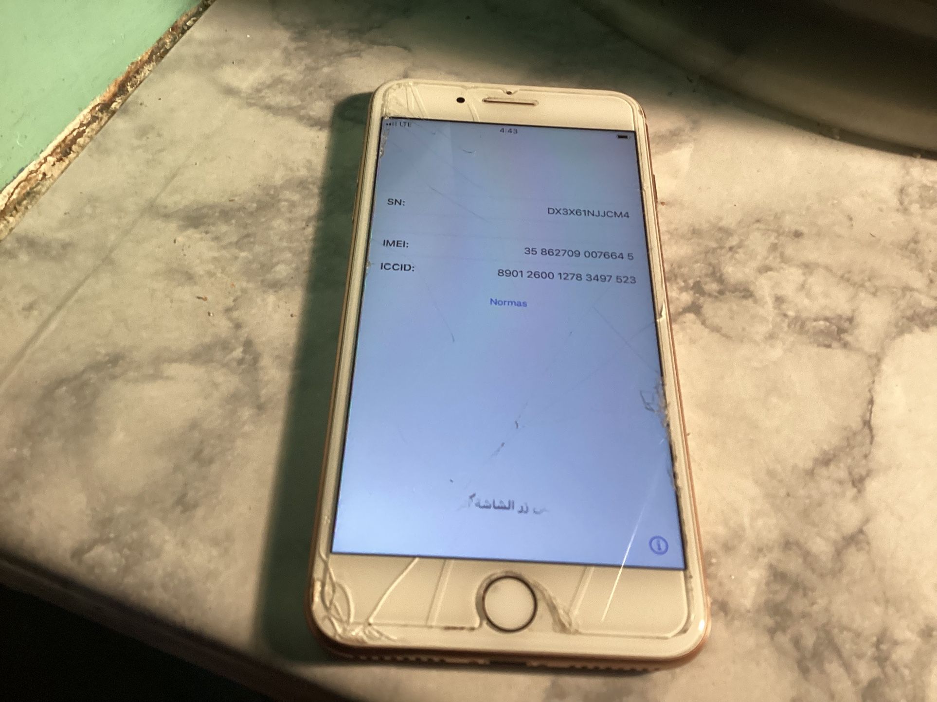 iPhone 8 Plus With Charger