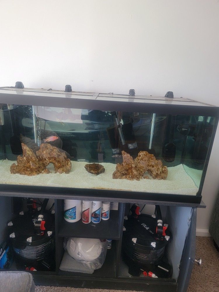 75 Gallon Aquarium