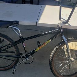 24 inch 1993 GT for sale