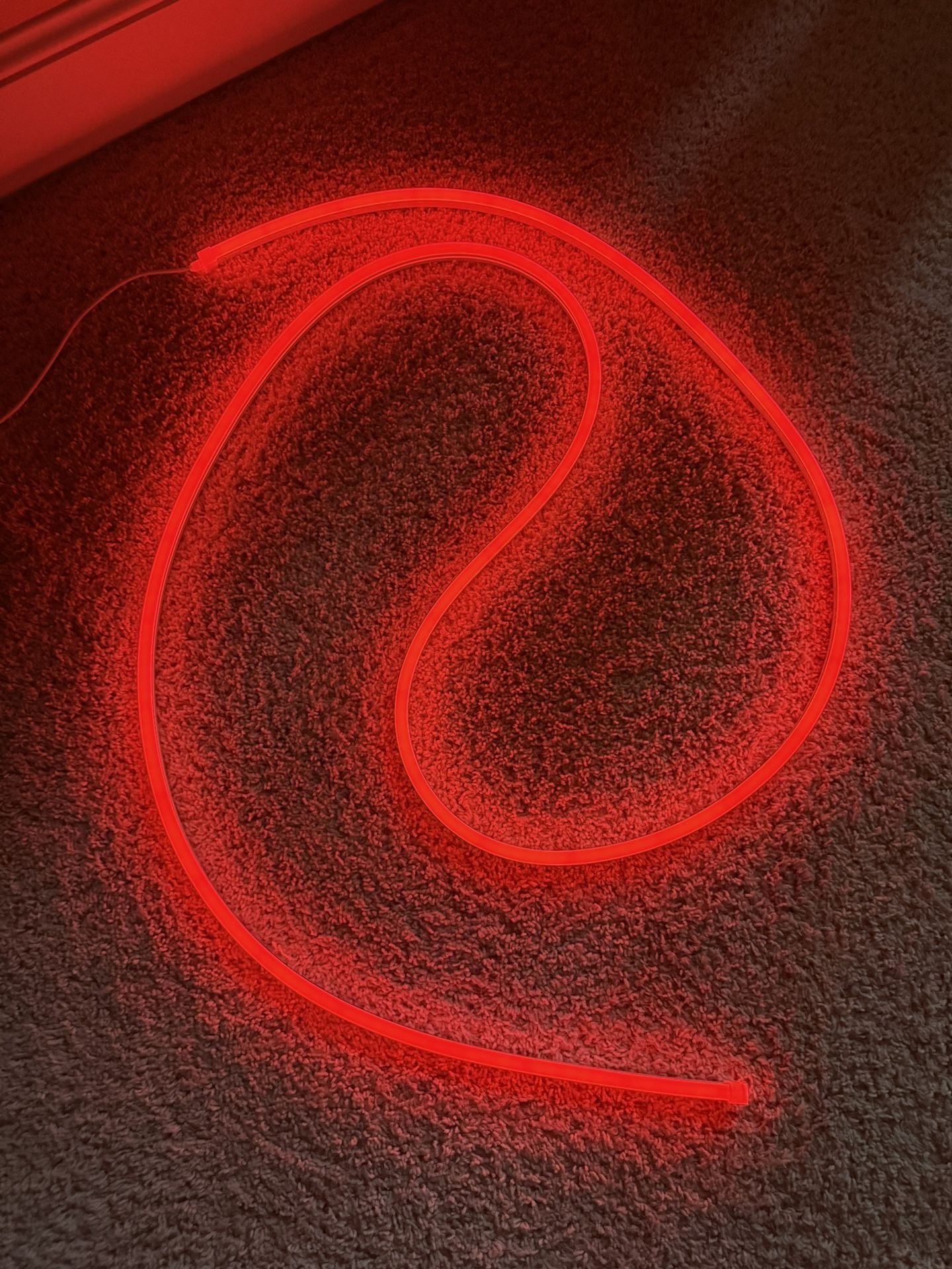 Govee Neon Rope Light RGB