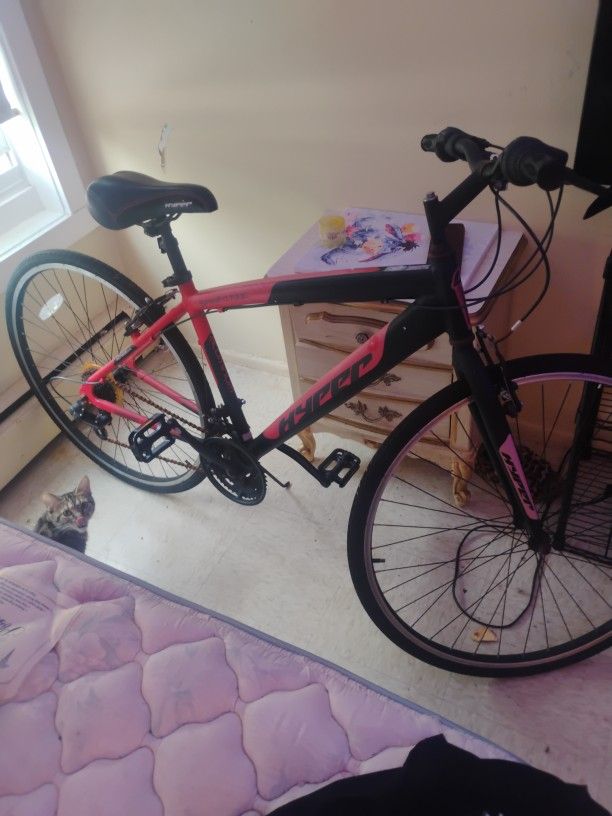 Fitness Bike Spinfit700c
