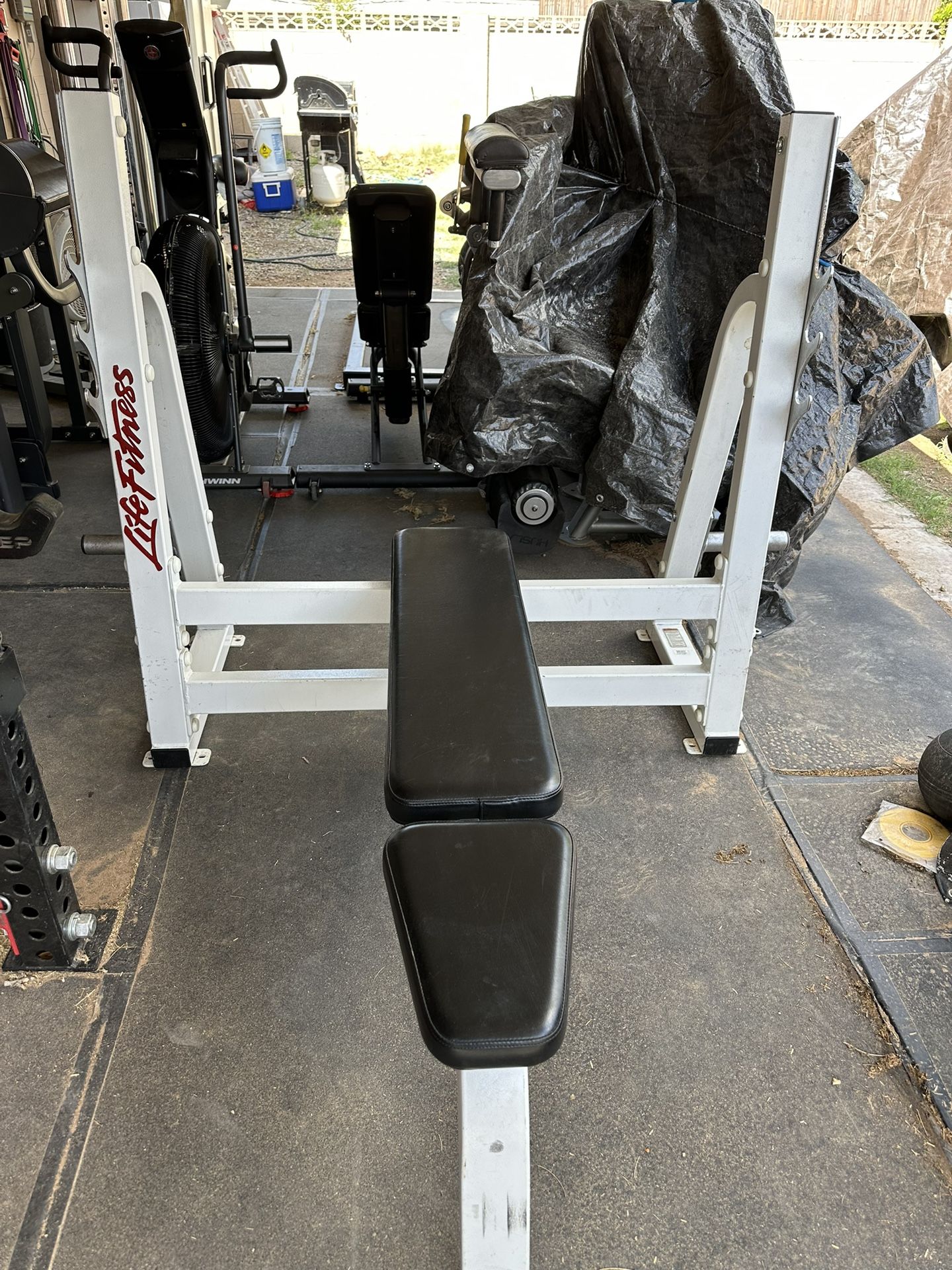 Life Fitness Commercial Bench Press