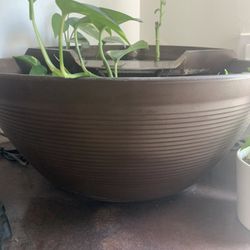 Table Top Pond 
