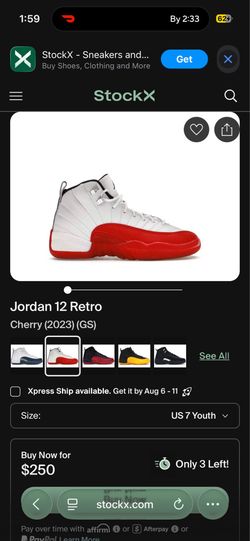 Jordan Retro 12s (Cherry 2023) GS