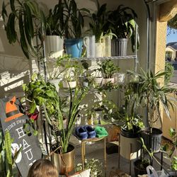 Garage Sale! San Tan Valley/Queen Creek