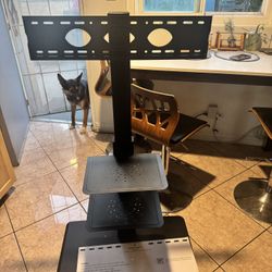Tv Rolling Stand