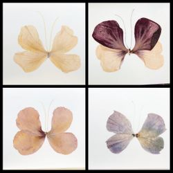 Beautiful Original Cards For All Occasions