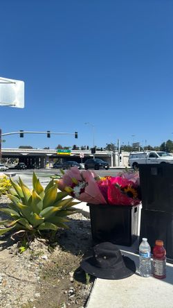 Flowers for mothers day