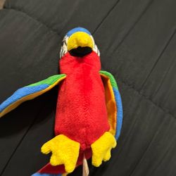 baby jabber the parrot