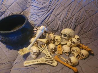 Witches cauldron & assorted bones
