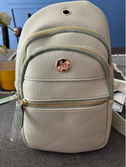 Brand New Purse