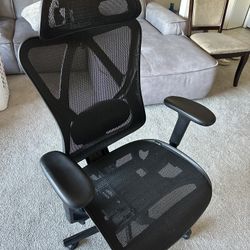 Ergonomic Gaming Chair / Office Chair