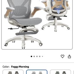 Ergonomic Office Chair 