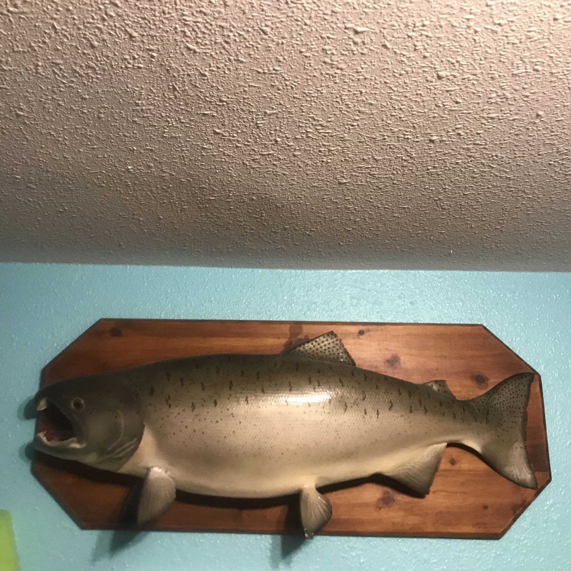Coho Salmon Replica Of An Actual Caught Coho