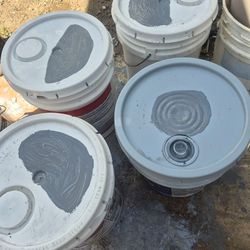 7 pinturas Interior nuevas $100 cada una