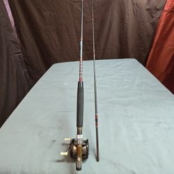 Sportfisher Pole And Level Wind Reel Pole  8'-5"